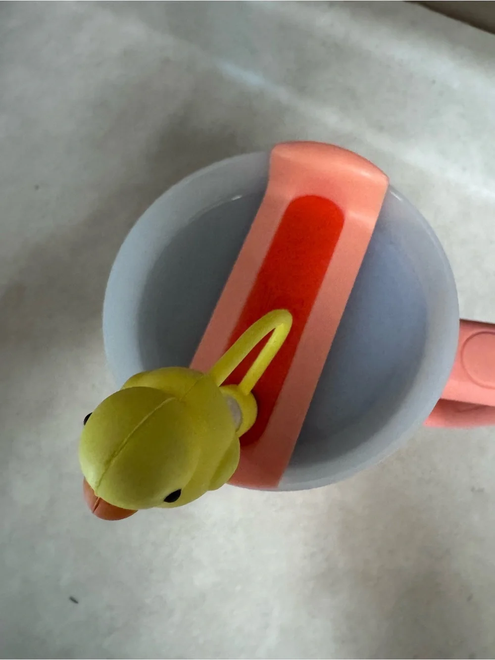 Stanley coral insulated